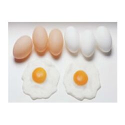 Æg legemad