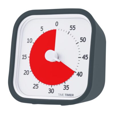 Timer, Ur