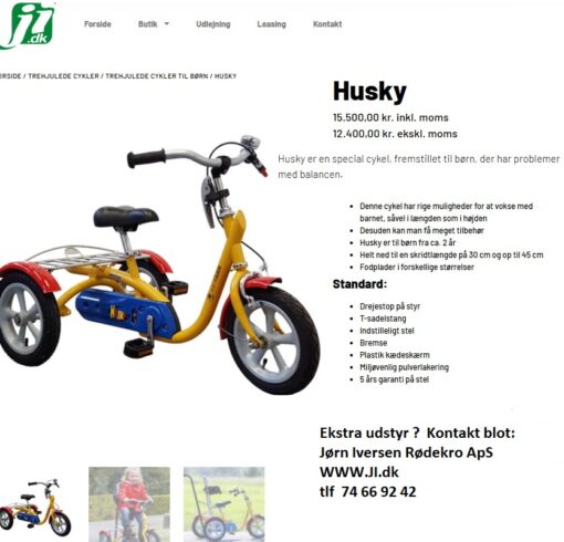 3 hjulet HUSKY vanRaam cykel - Billede 5